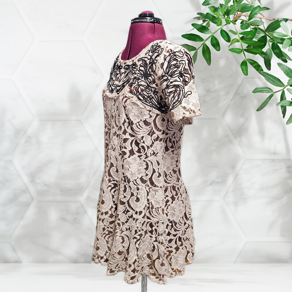 Free People Pink Beautiful Dreamer Blush Lace Tunic Dress - Picture 5 of 13